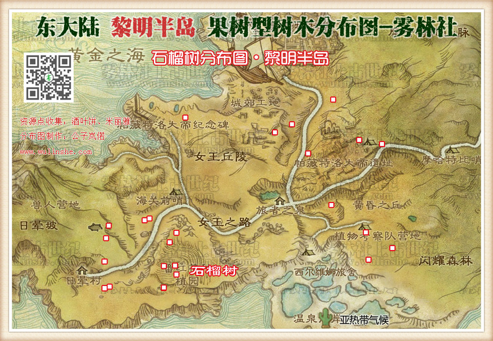 东大陆黎明半岛石榴树